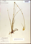 000021039-thumbnail.jpg
