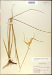 000021040-thumbnail.jpg