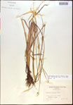 000021041-thumbnail.jpg