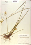 000021042-thumbnail.jpg