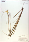 000021043-thumbnail.jpg