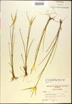 000021050-thumbnail.jpg