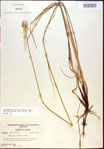 000021051-thumbnail.jpg