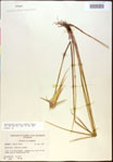 000021052-thumbnail.jpg