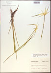000021053-thumbnail.jpg