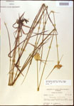 000021054-thumbnail.jpg