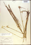 000021055-thumbnail.jpg