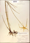 000021056-thumbnail.jpg