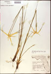 000021057-thumbnail.jpg