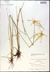000021058-thumbnail.jpg