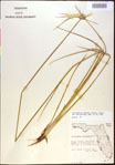 000021061-thumbnail.jpg
