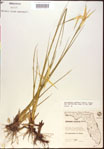 000021062-thumbnail.jpg