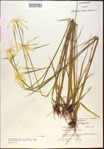 000021063-thumbnail.jpg