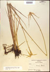 000021064-thumbnail.jpg