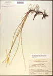 000021065-thumbnail.jpg
