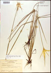 000021067-thumbnail.jpg