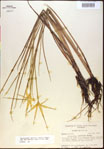 000021069-thumbnail.jpg