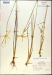 000021070-thumbnail.jpg