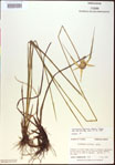 000021071-thumbnail.jpg