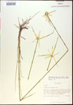 000021072-thumbnail.jpg
