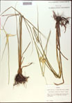 000021073-thumbnail.jpg