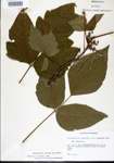 000021079-thumbnail.jpg