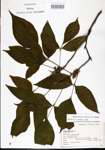 000021082-thumbnail.jpg