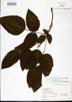 000021083-thumbnail.jpg