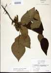 000021084-thumbnail.jpg