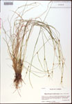 000021124-thumbnail.jpg