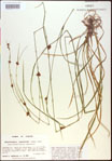 000021125-thumbnail.jpg