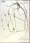 000021126-thumbnail.jpg