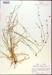 000021127-thumbnail.jpg