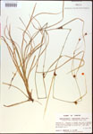 000021128-thumbnail.jpg