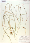 000021129-thumbnail.jpg