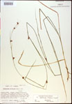 000021131-thumbnail.jpg