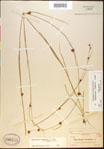 000021132-thumbnail.jpg
