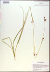 000021148-thumbnail.jpg