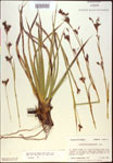 000021149-thumbnail.jpg