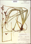 000021150-thumbnail.jpg