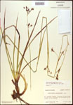 000021151-thumbnail.jpg