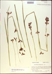 000021152-thumbnail.jpg