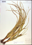 000021153-thumbnail.jpg