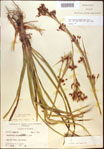 000021154-thumbnail.jpg