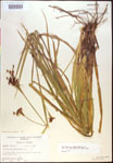 000021155-thumbnail.jpg