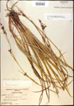 000021156-thumbnail.jpg