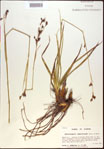 000021157-thumbnail.jpg