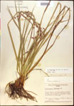 000021158-thumbnail.jpg