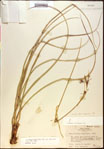 000021159-thumbnail.jpg