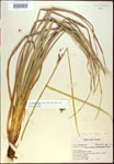 000021160-thumbnail.jpg